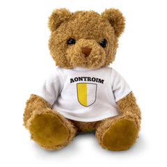 AONTROIM (ANTRIM) COUNTY COLOURS - Teddy Bear - Ireland Gaeilge Gift Present