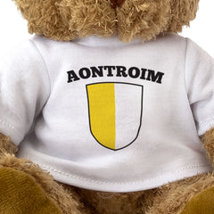 AONTROIM (ANTRIM) COUNTY COLOURS - Teddy Bear - Ireland Gaeilge Gift Present