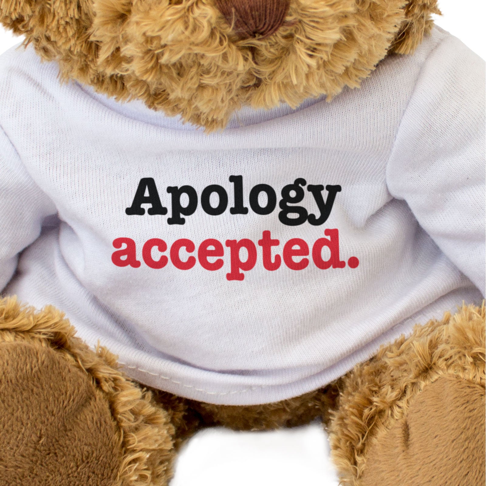 APOLOGY ACCEPTED - Teddy Bear - Cute Soft Cuddly - Forgiveness Gift Present