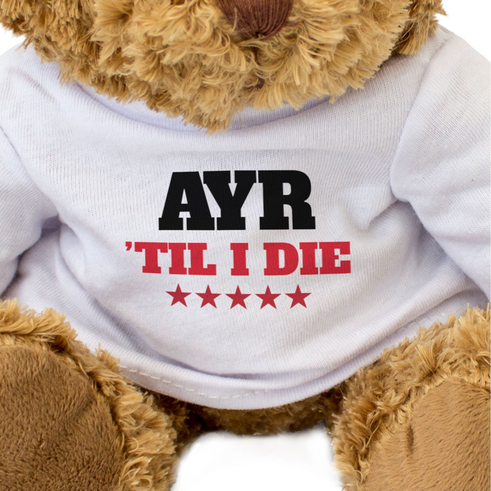 AYR TIL I DIE - Teddy Bear - Cute Cuddly Soft - Scotland Gift Present