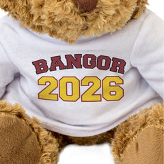 BANGOR 2026 - Teddy Bear - Cute Cuddly Soft - Wales Graduation Gift Present