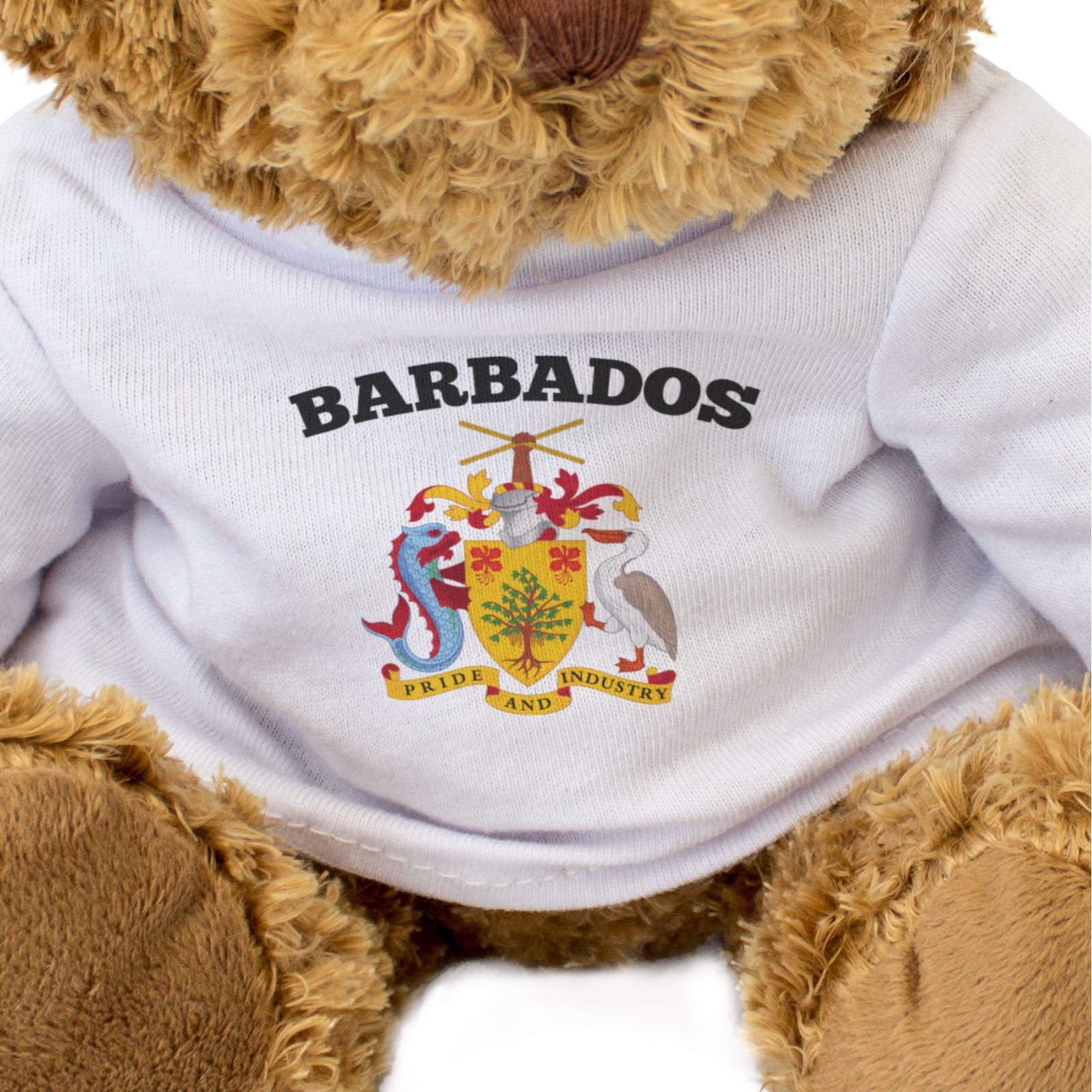 BARBADOS COAT OF ARMS - Teddy Bear - Cute Cuddly Soft Adorable - Gift Present