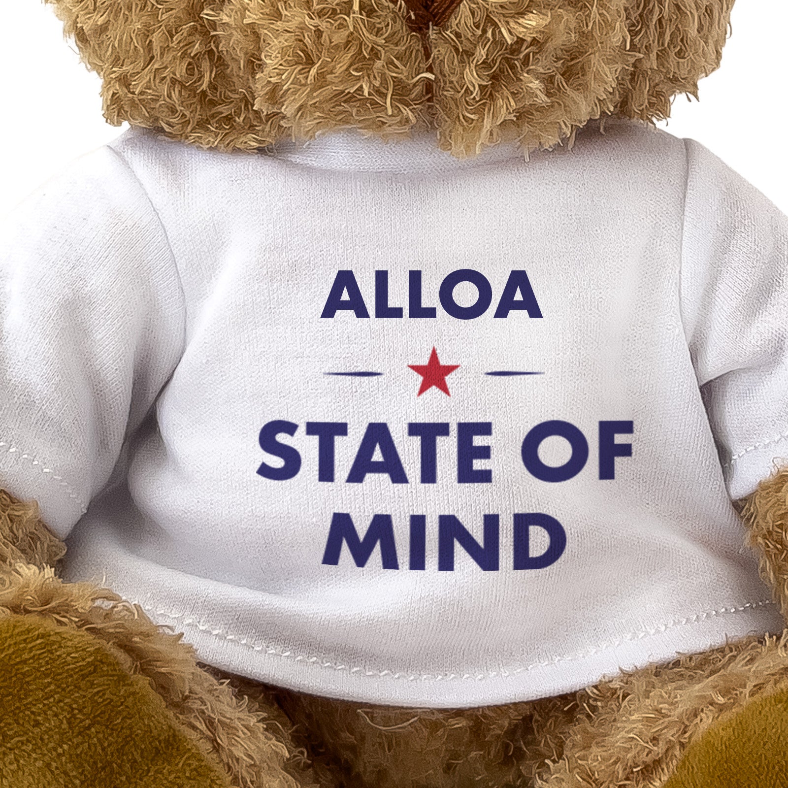Alloa State of Mind teddy bear - close-up view