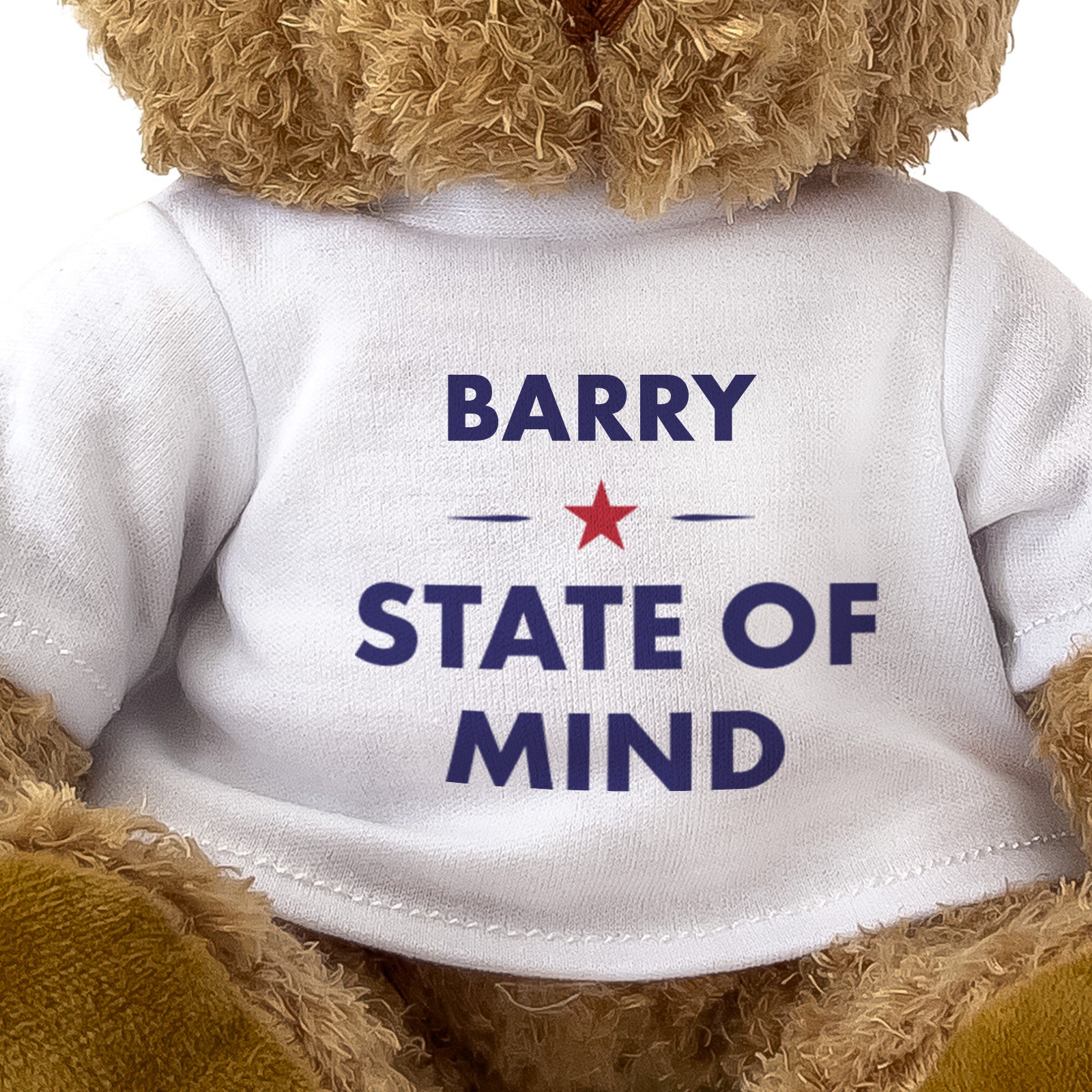 Barry State of Mind teddy bear - close-up view