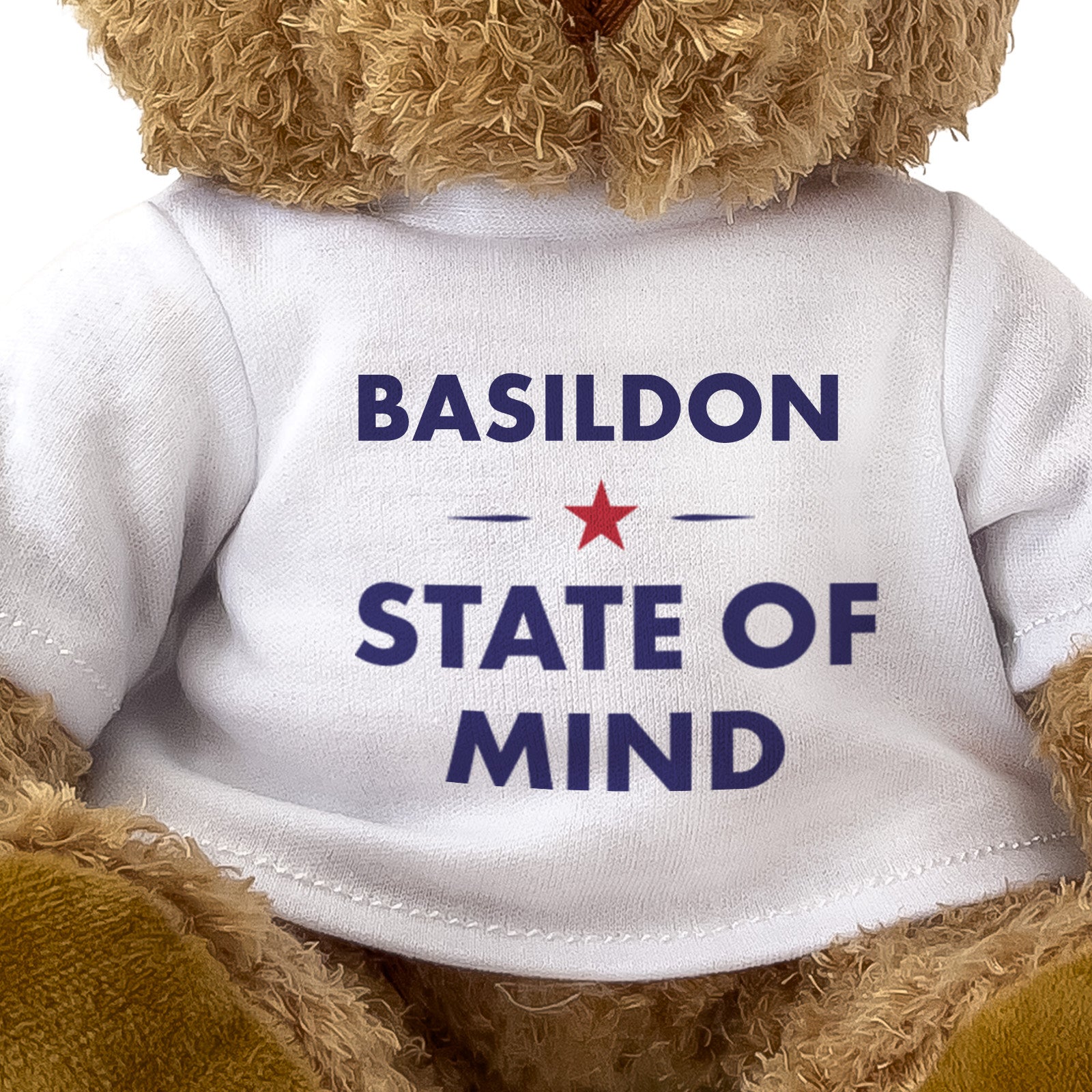Basildon State of Mind teddy bear - close-up view