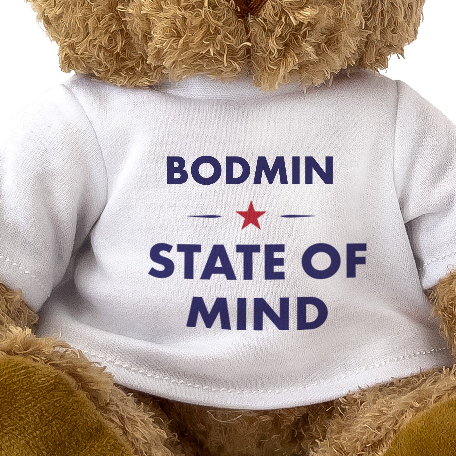 Bodmin State of Mind teddy bear - close-up view