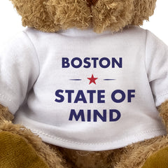 Boston State of Mind teddy bear - close-up view