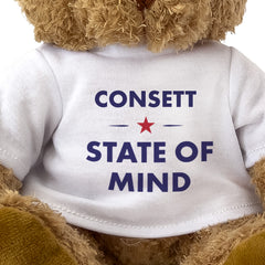 Consett State of Mind teddy bear - close-up view