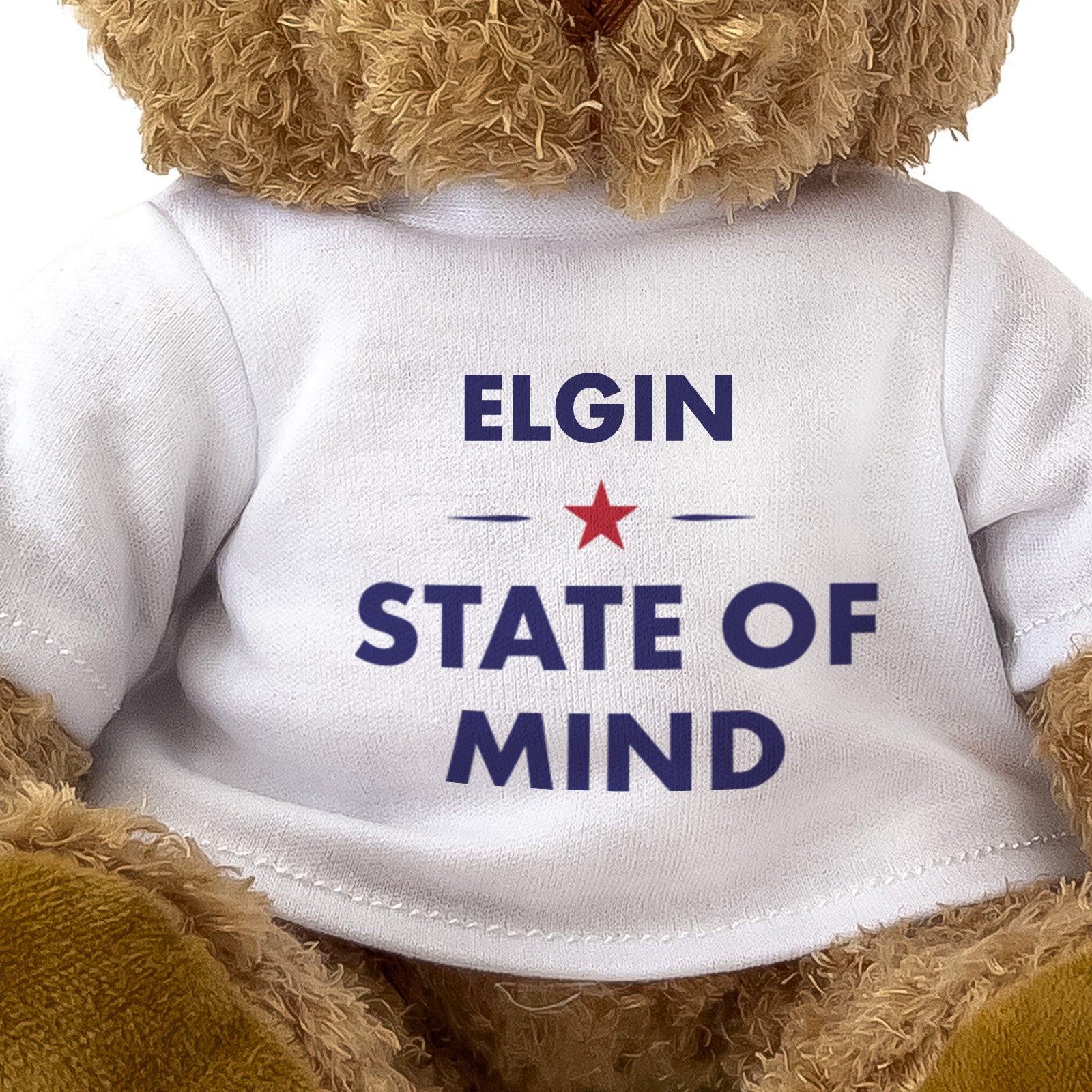 Elgin State of Mind teddy bear - close-up view