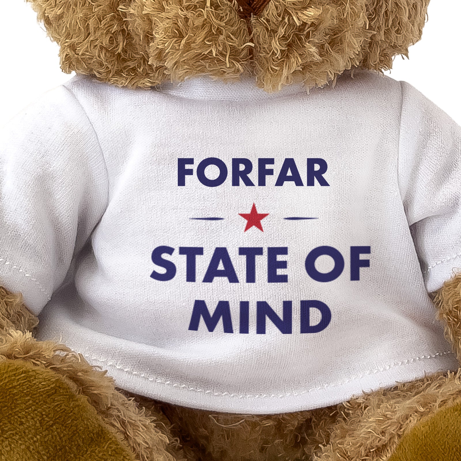 Forfar State of Mind teddy bear - close-up view
