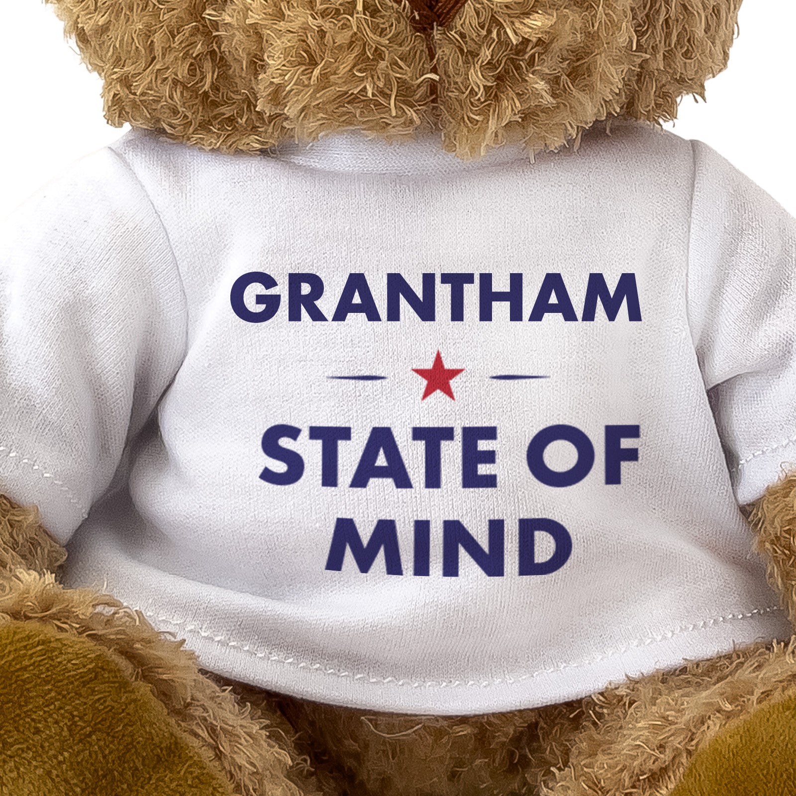 Grantham State of Mind teddy bear - close-up view