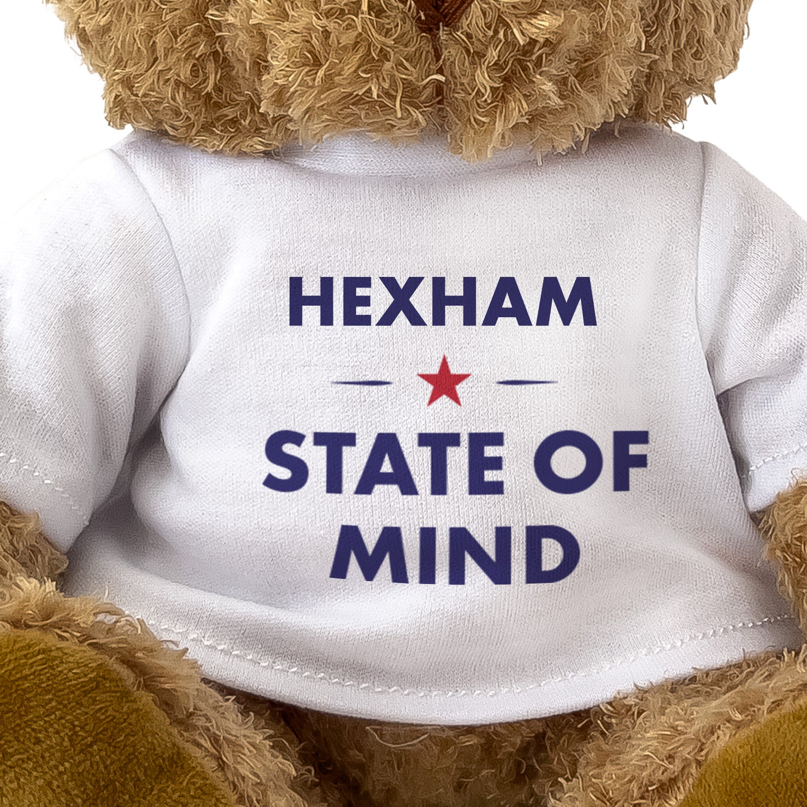 Hexham State of Mind teddy bear - close-up view