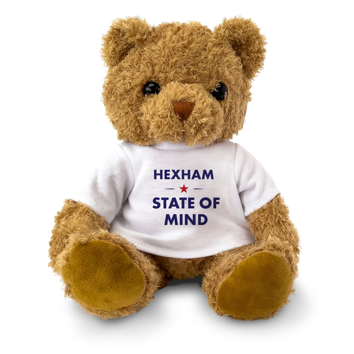 Hexham State of Mind teddy bear - full view