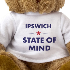 Ipswich State of Mind teddy bear - close-up view
