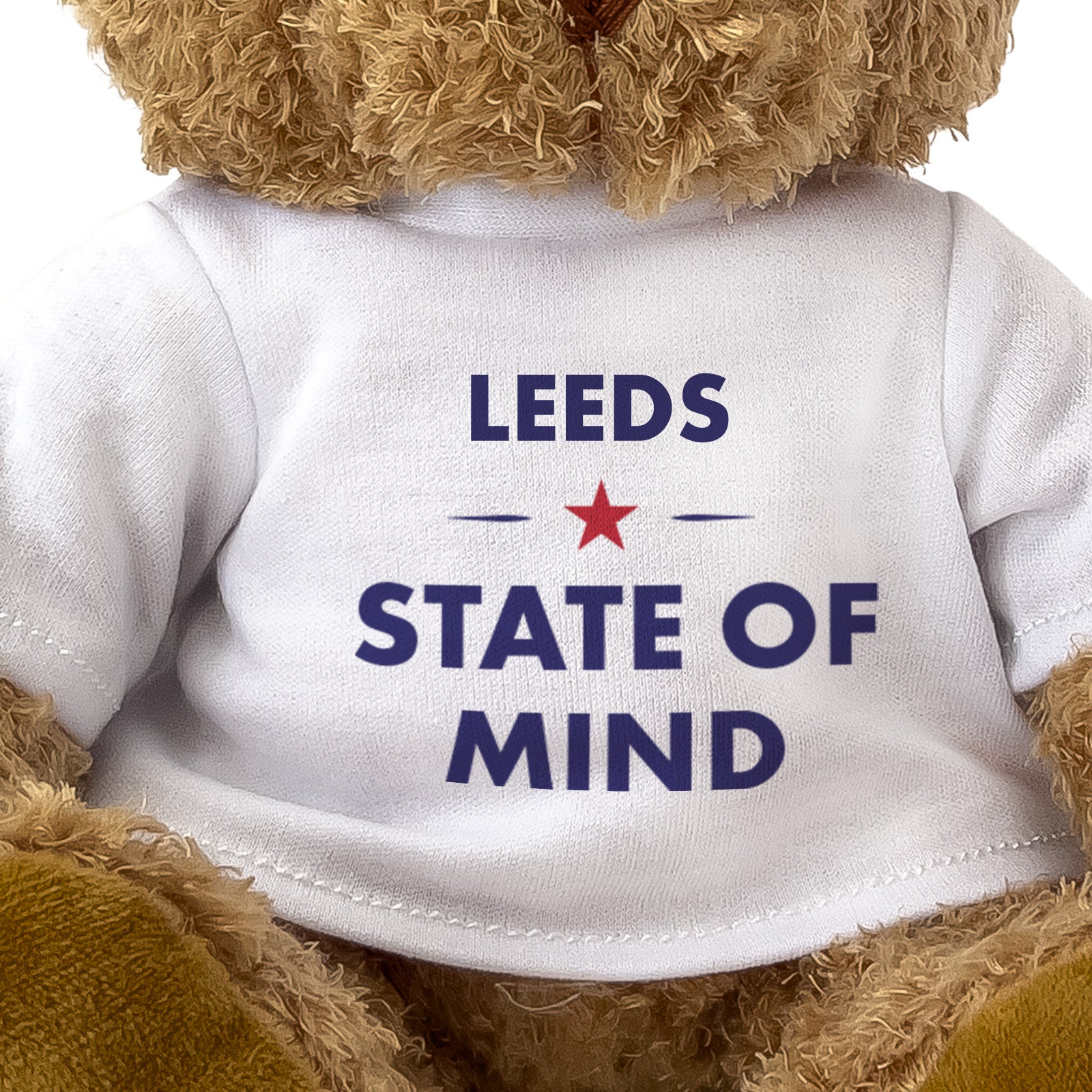 Leeds State of Mind teddy bear - close-up view