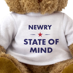 Newry State of Mind teddy bear - close-up view