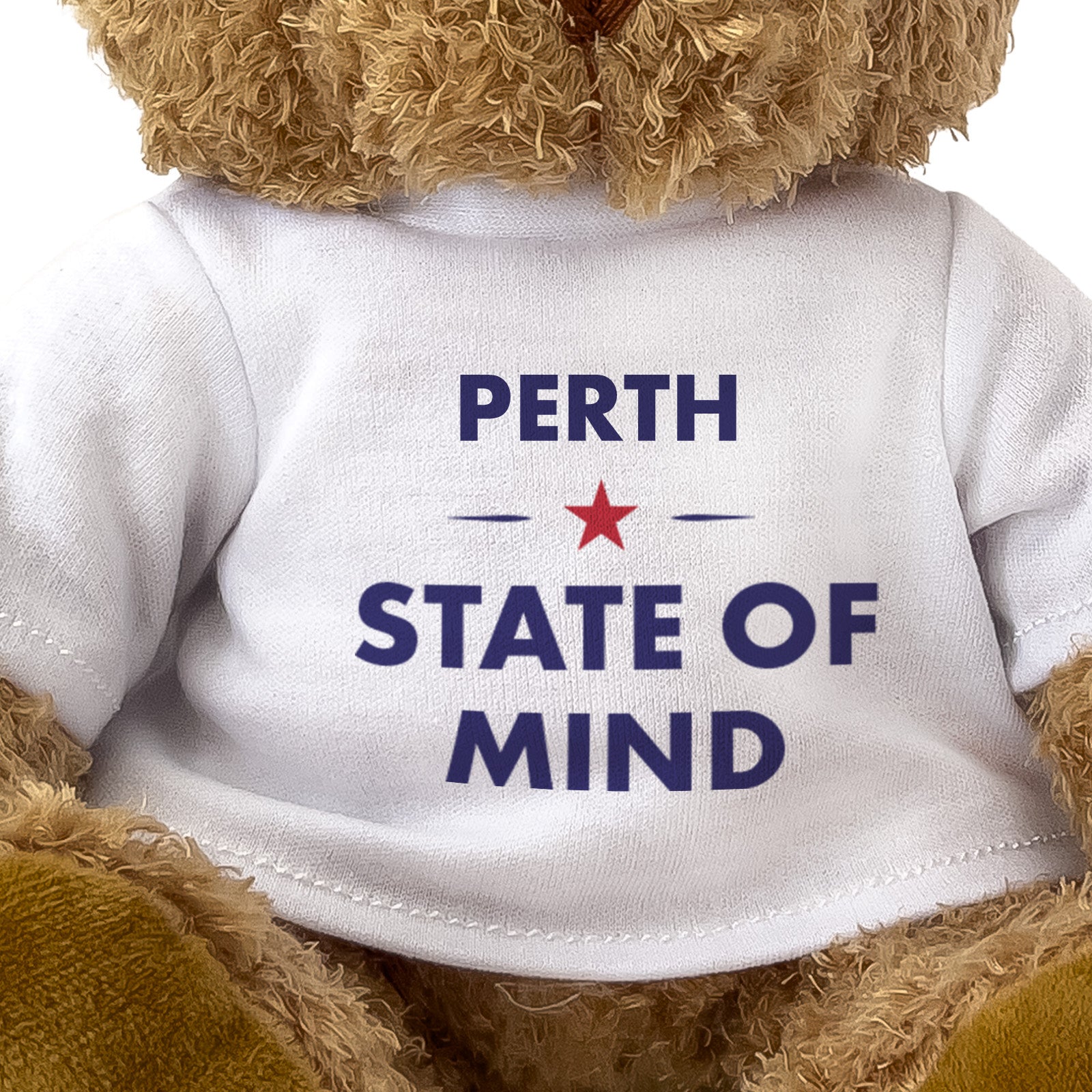 Perth State of Mind teddy bear - close-up view