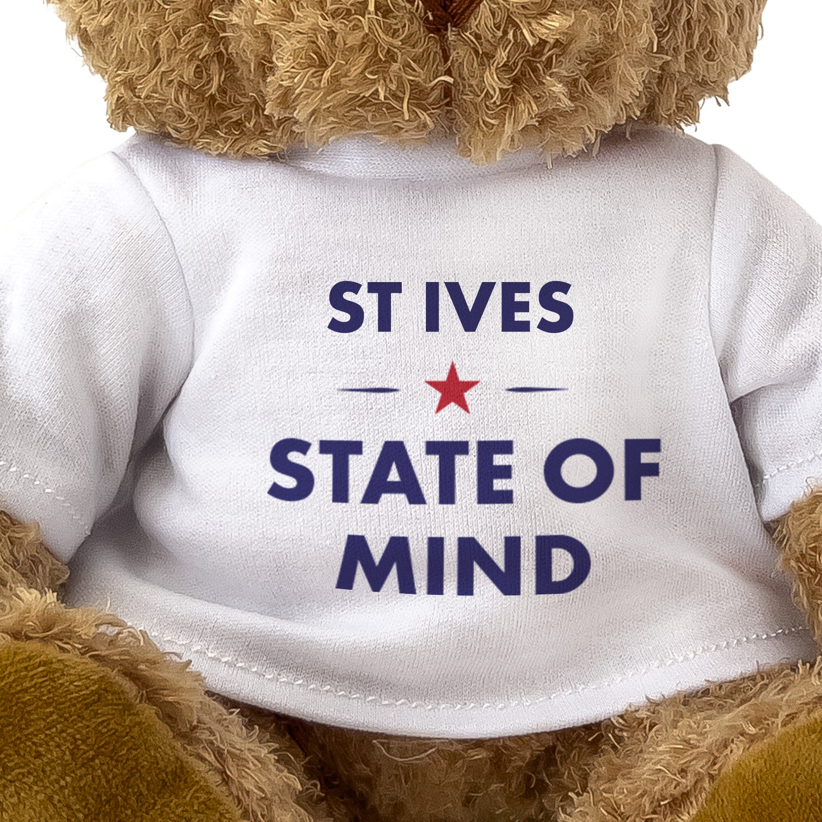 St Ives State of Mind teddy bear - close-up view