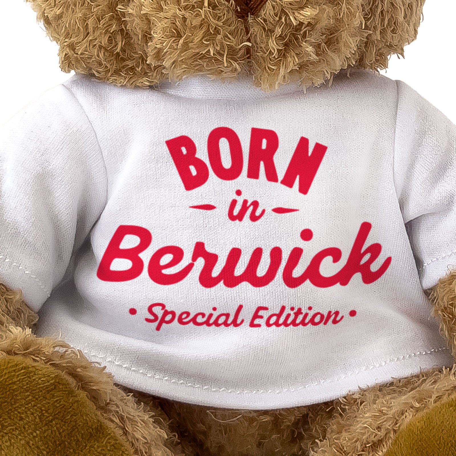 BORN IN BERWICK (SPECIAL EDITION) - Teddy Bear - Funny Souvenir Gift Present