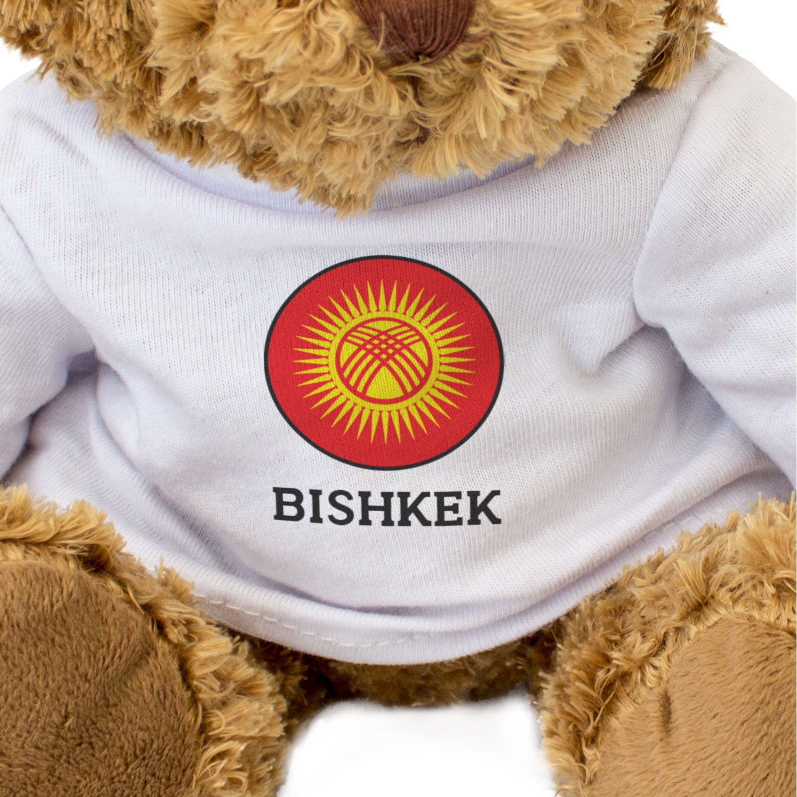 BISHKEK (KYRGYZSTAN FLAG ROUNDEL) - Teddy Bear - Funny Souvenir Gift Present