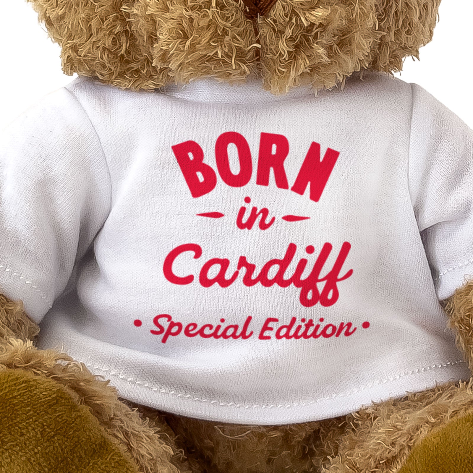 BORN IN CARDIFF (SPECIAL EDITION) - Teddy Bear - Cute - Welsh Gift Present