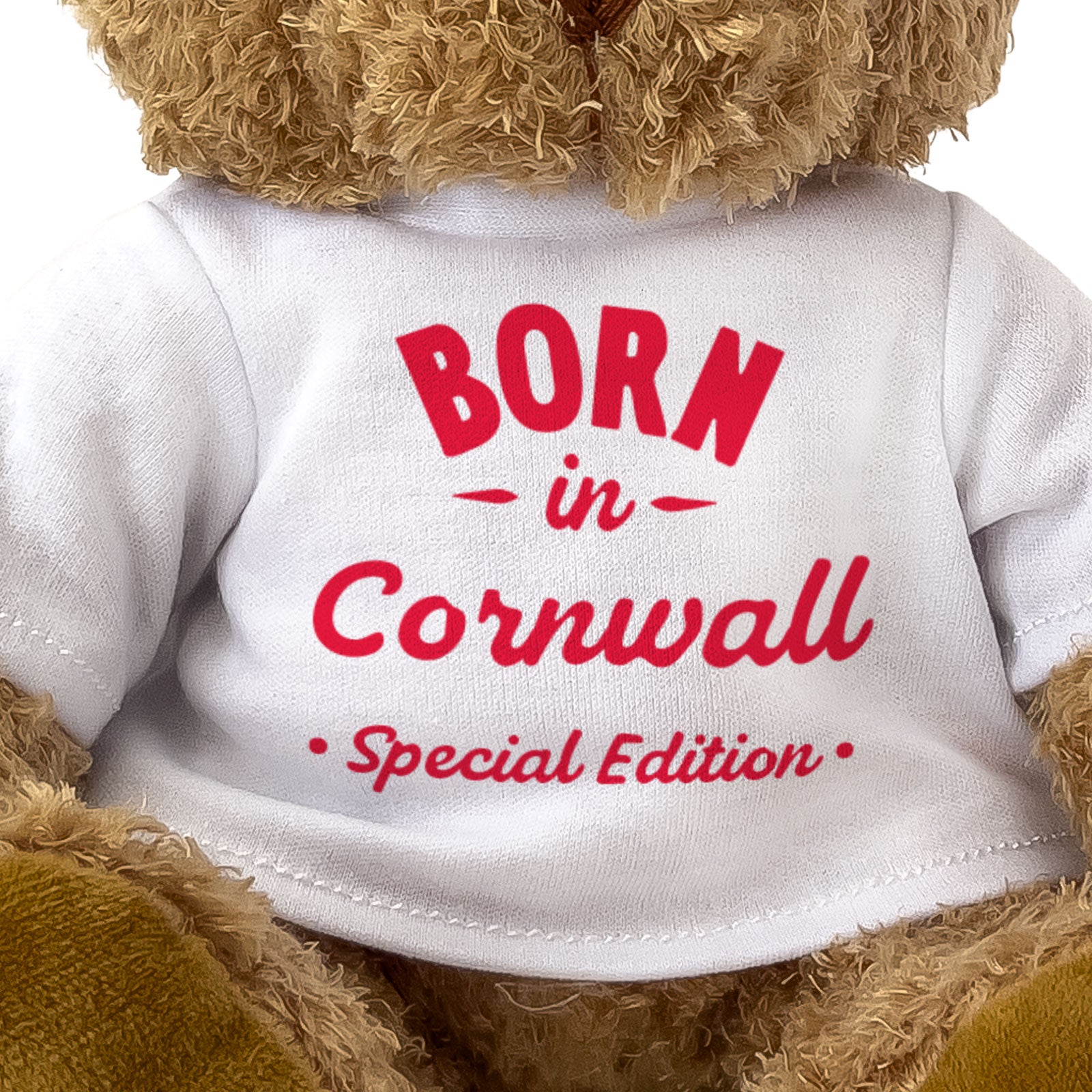 BORN IN CORNWALL (SPECIAL EDITION) - Teddy Bear - Cute - Cornish Gift Present