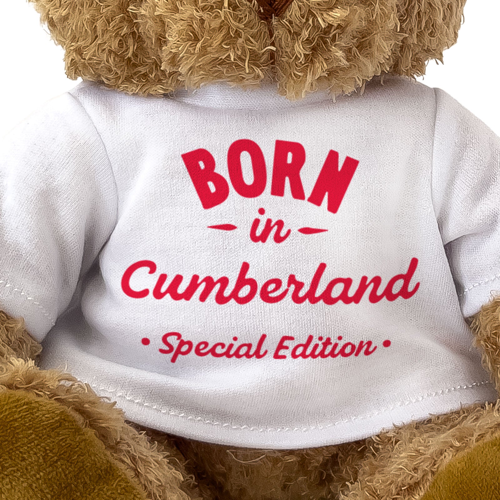 BORN IN CUMBERLAND (SPECIAL EDITION) - Teddy Bear - Cute - Gift Present