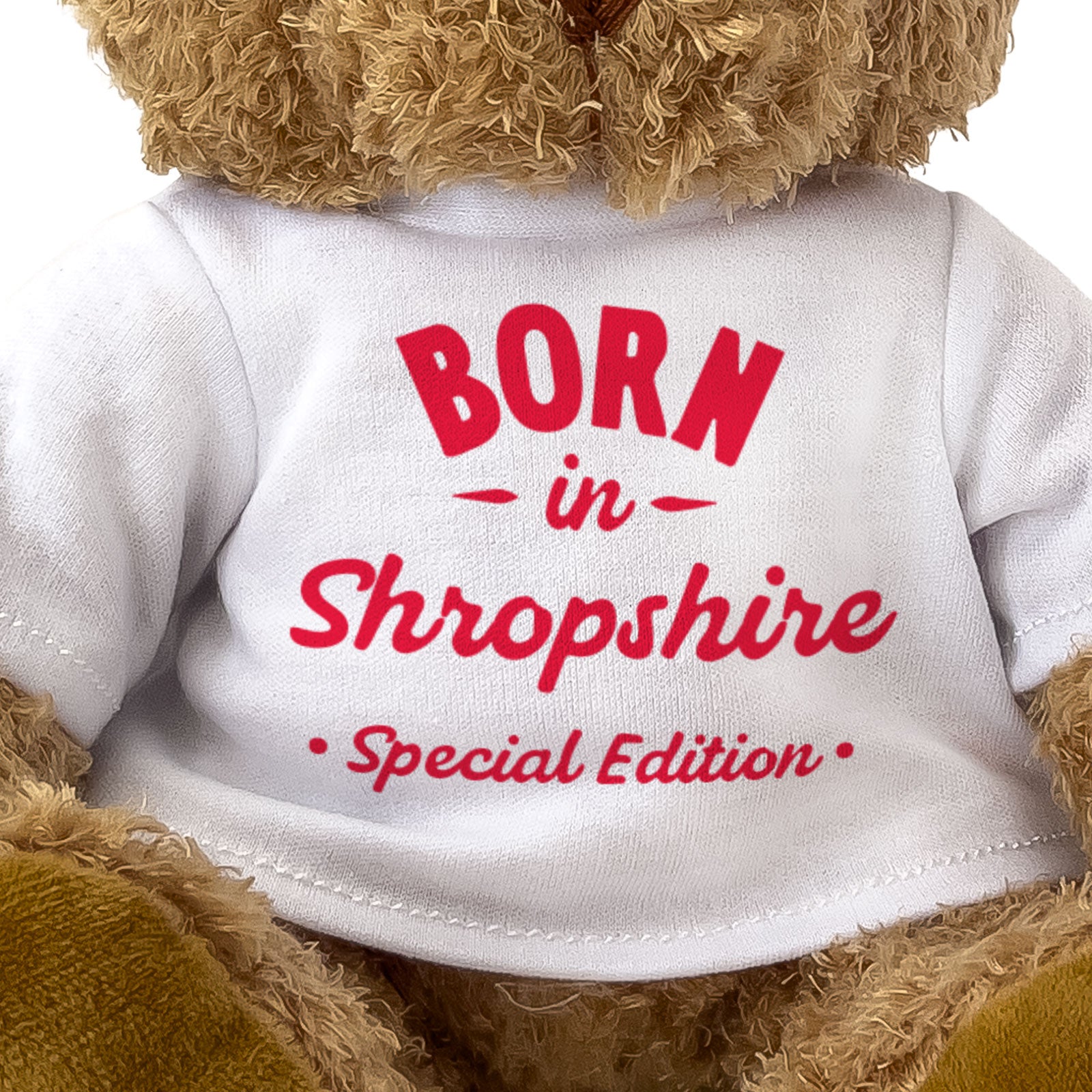 BORN IN SHROPSHIRE (SPECIAL EDITION) - Teddy Bear - Cute Cuddly - Gift Present