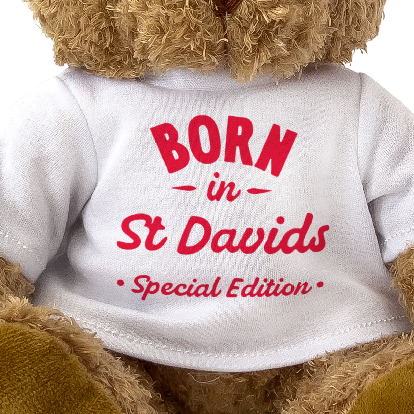 BORN IN ST DAVIDS (SPECIAL EDITION) - Teddy Bear - Cute - Welsh Gift Present