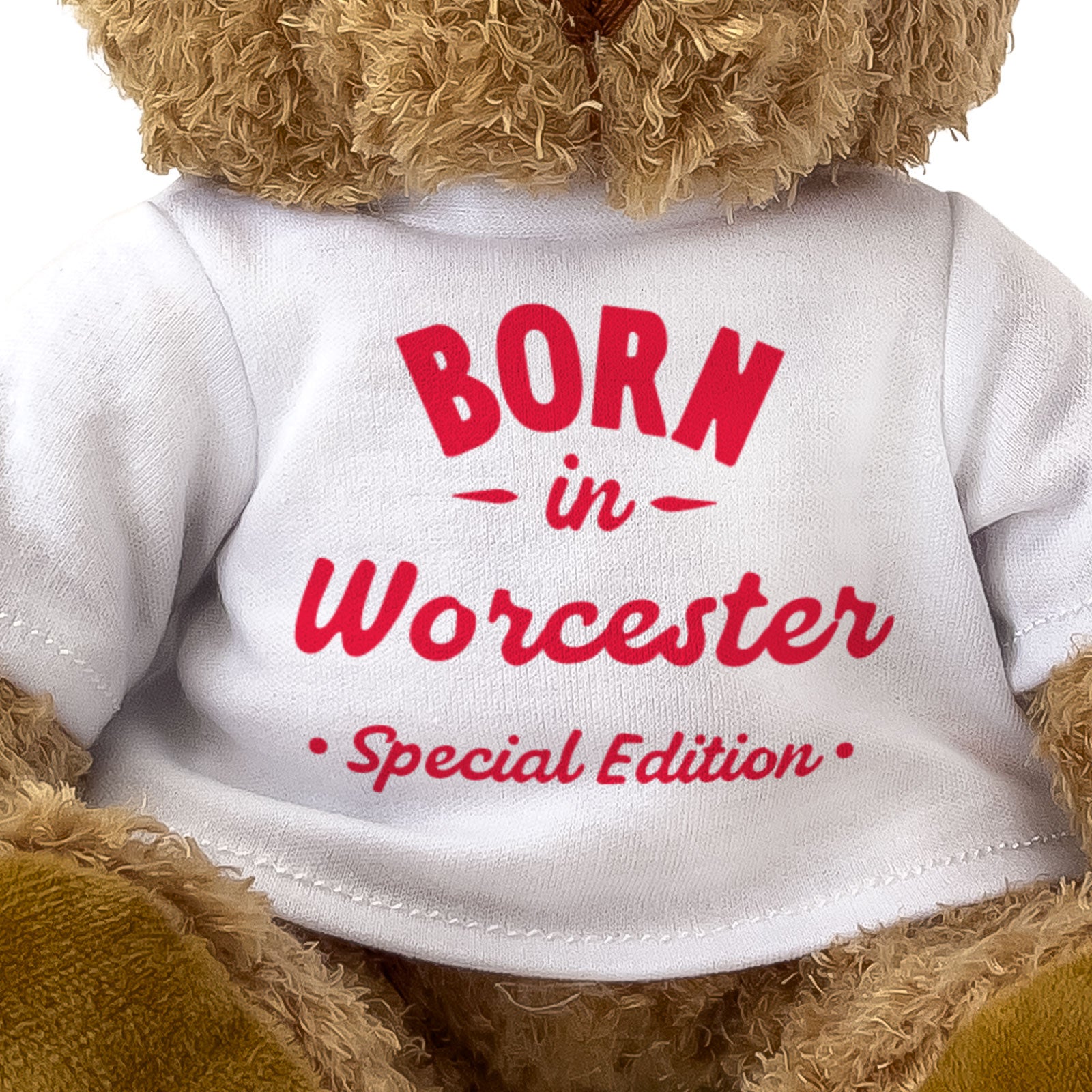 BORN IN WORCESTER (SPECIAL EDITION) - Teddy Bear - Cute Cuddly - Gift Present