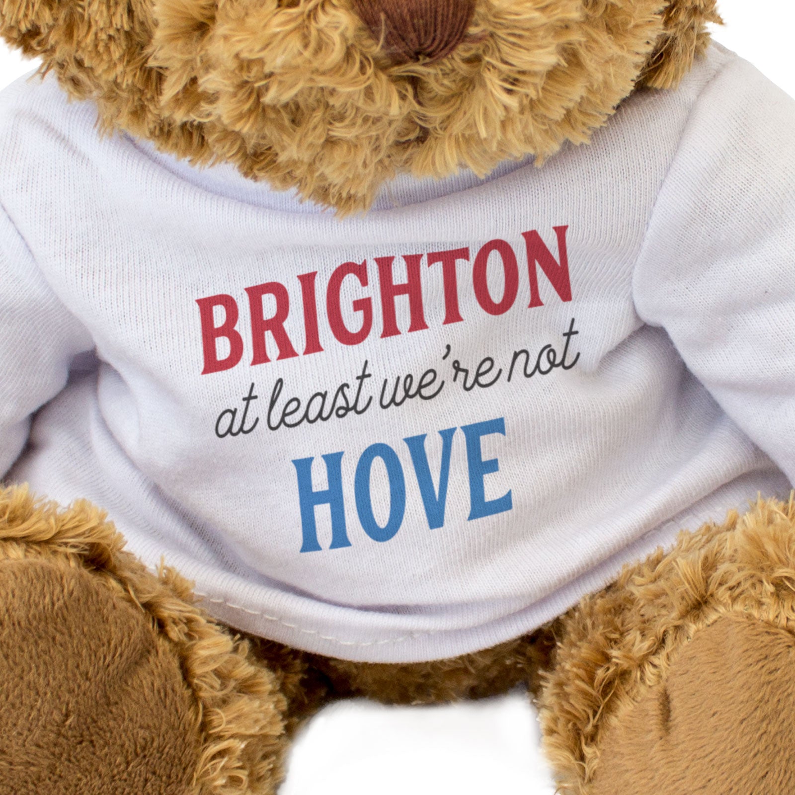 BRIGHTON AT LEAST WE'RE NOT HOVE - Teddy Bear - Cute Cuddly - Funny Gift Present