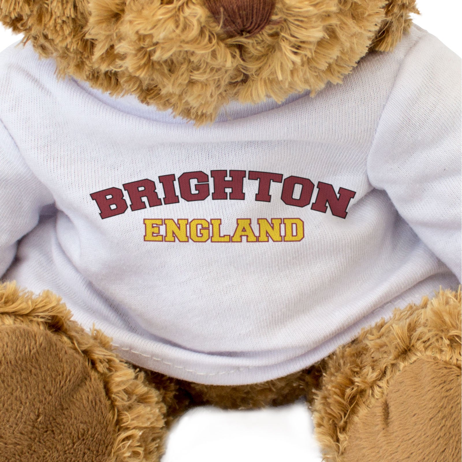 BRIGHTON, ENGLAND - Teddy Bear - Cute Cuddly Soft - Funny Sussex Gift Present
