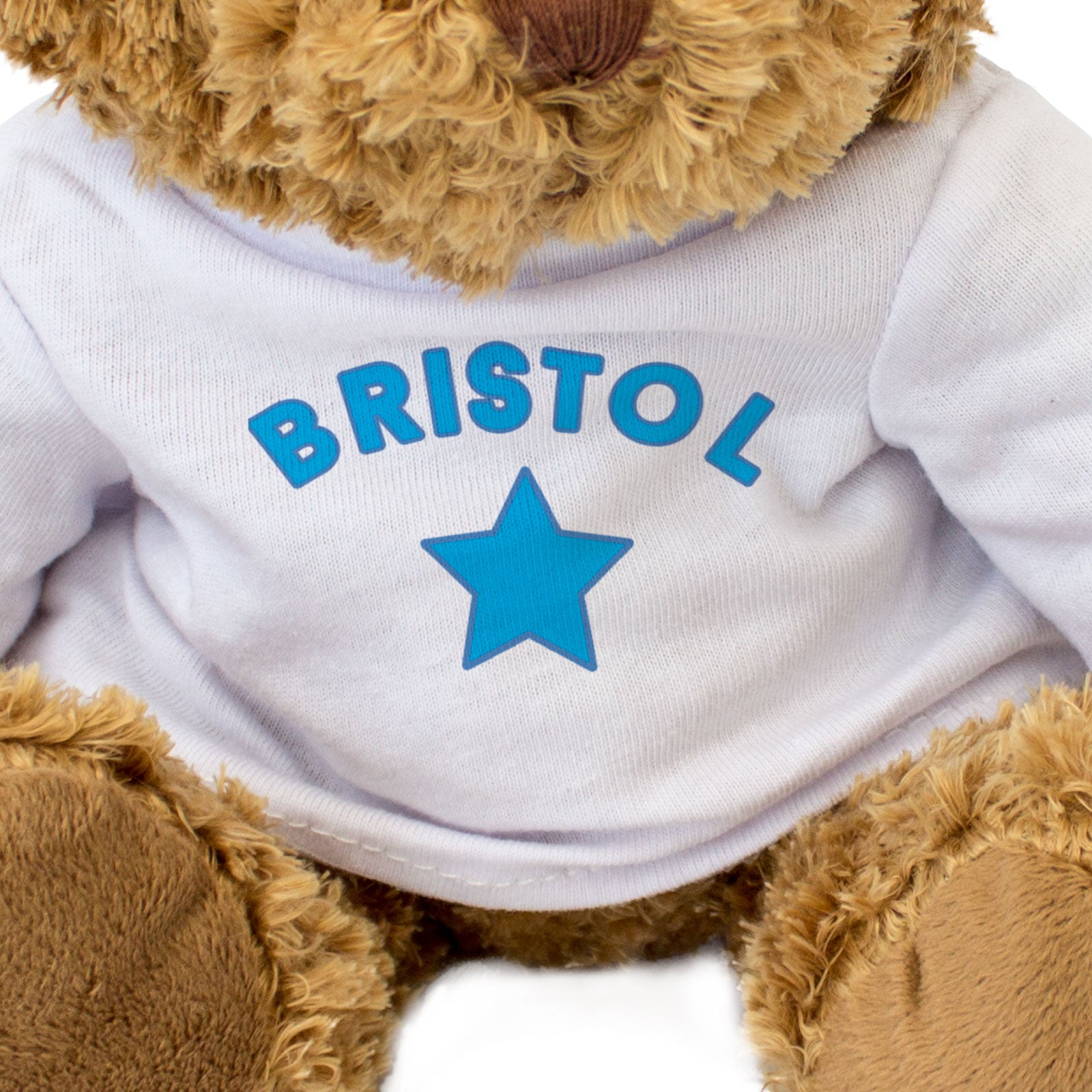 BRISTOL - Teddy Bear - Cute Cuddly Soft Adorable - Gift Present