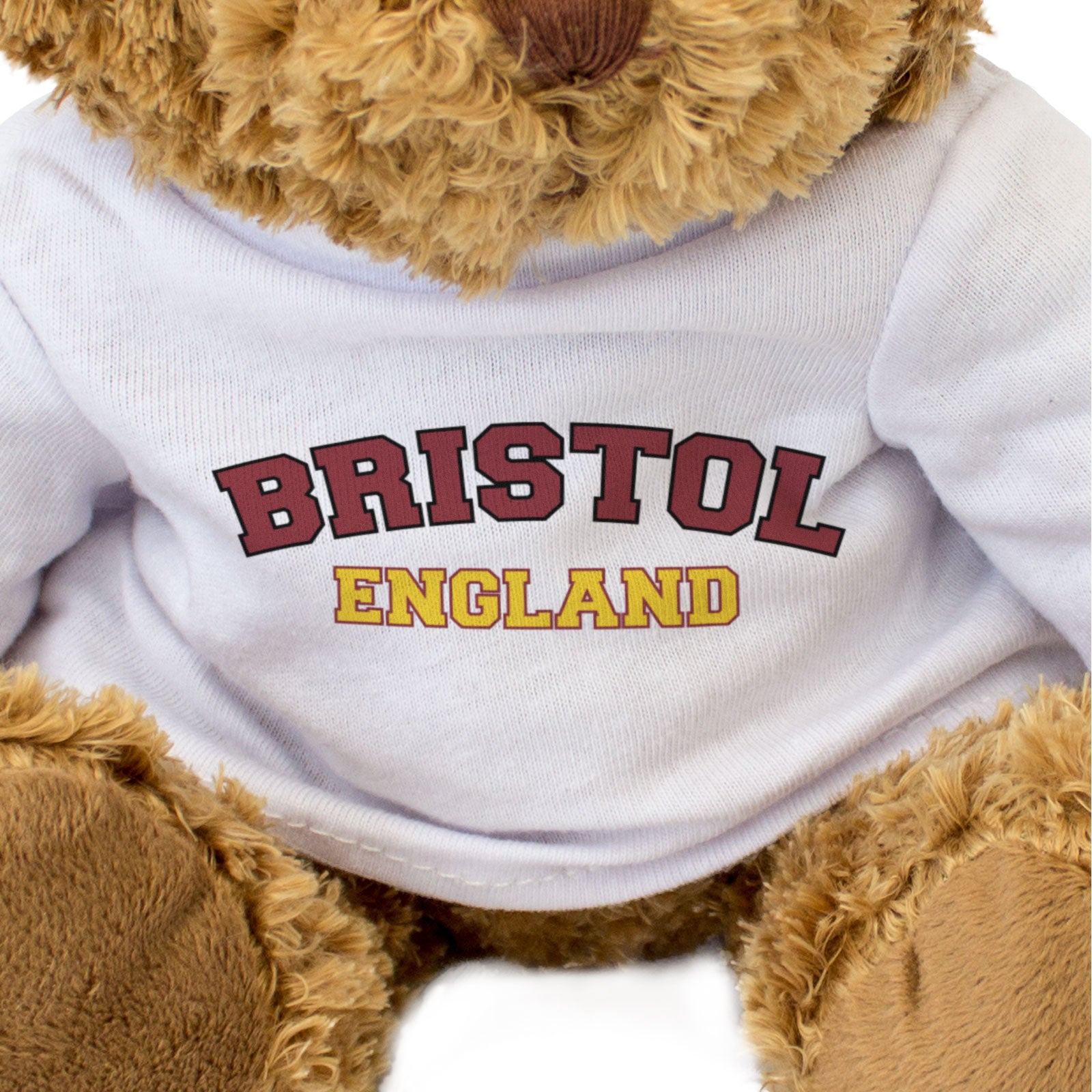 BRISTOL, ENGLAND - Teddy Bear - Cute Cuddly Soft Adorable - Funny Gift Present