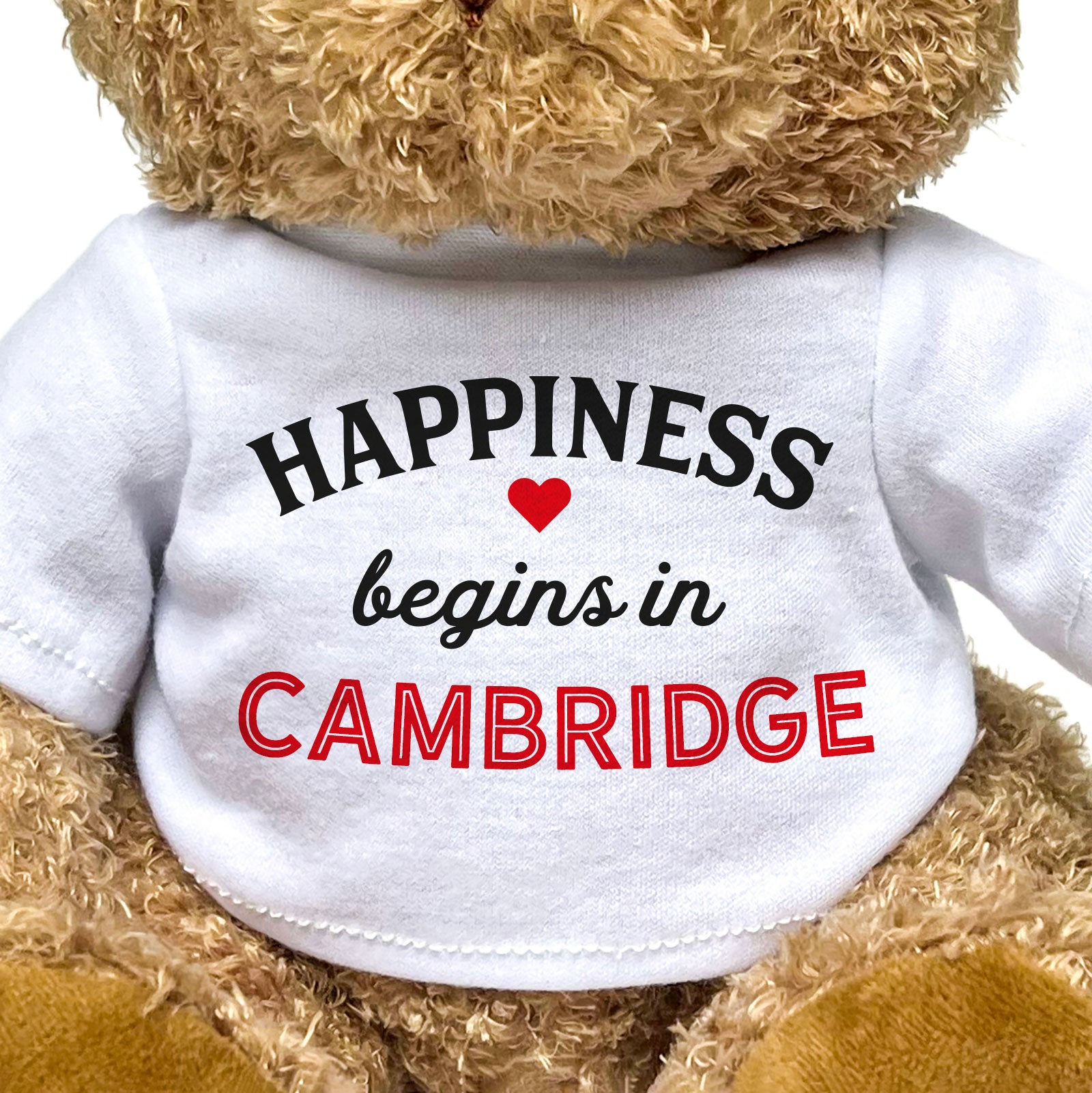 HAPPINESS BEGINS IN CAMBRIDGE - Teddy Bear - Cute Cuddly Soft - Gift Present
