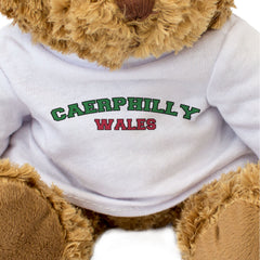 CAERPHILLY, WALES - Teddy Bear - Cute Cuddly Soft Adorable - Welsh Gift Present