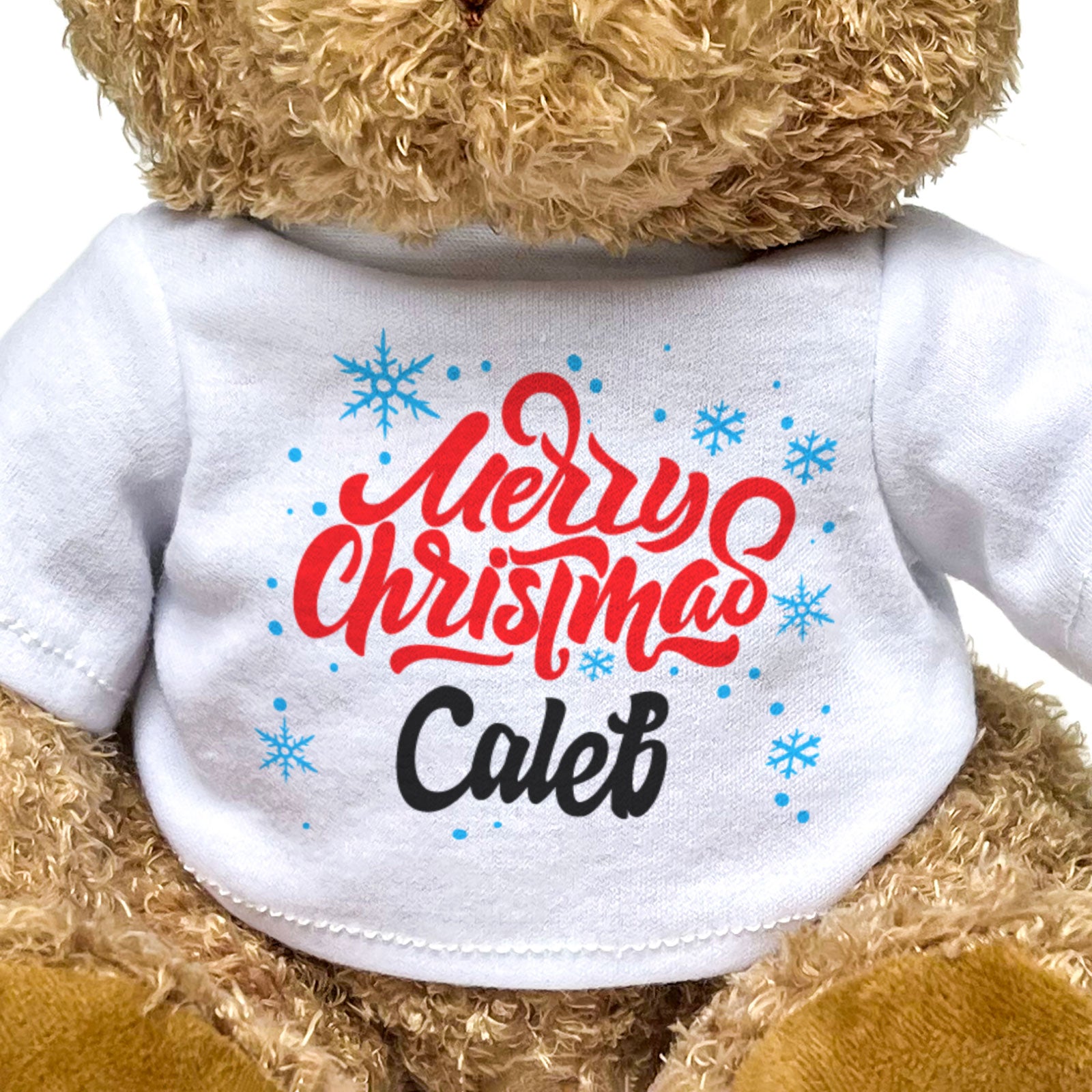 MERRY CHRISTMAS CALEB - Teddy Bear - Cute Cuddly Soft - Xmas Gift Present