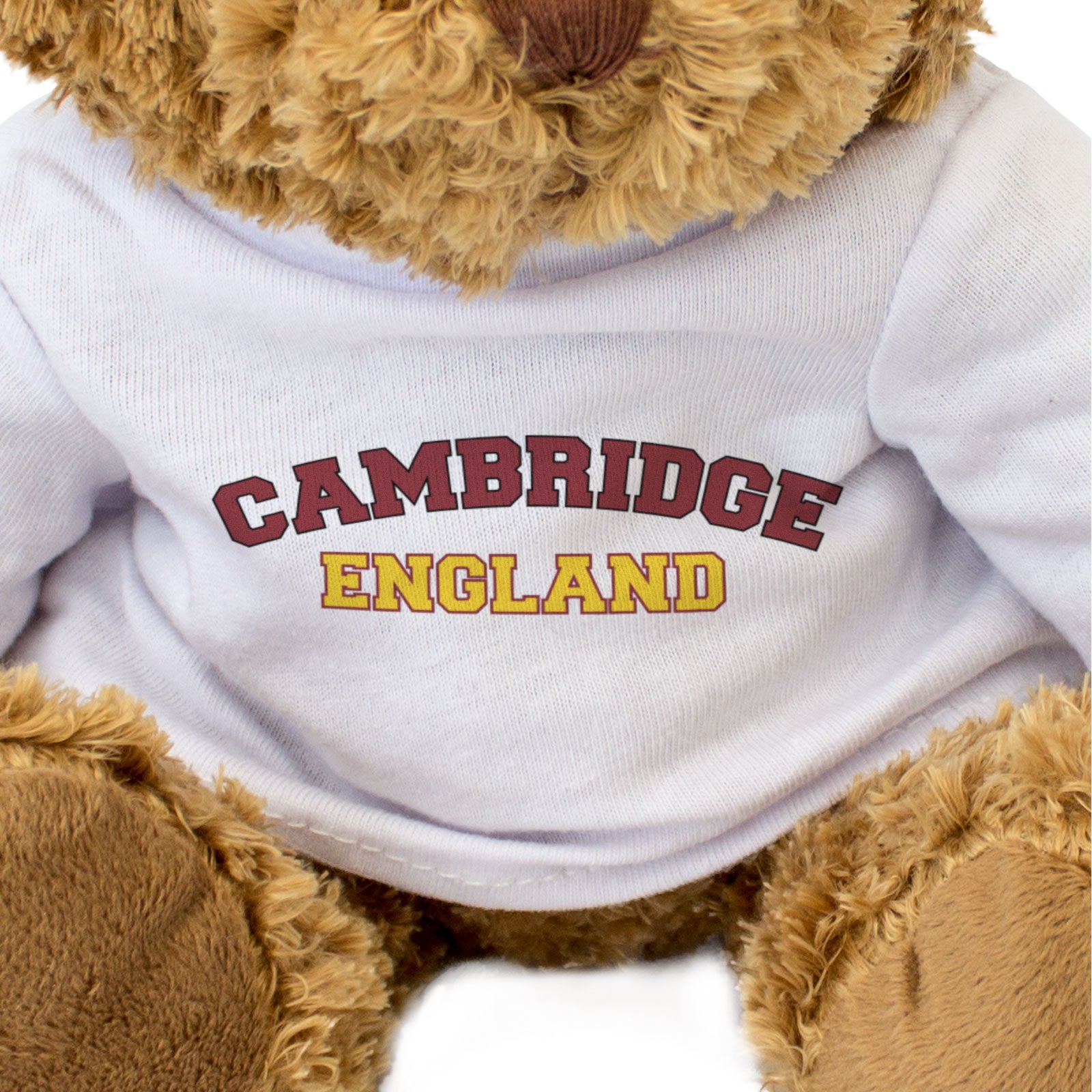 CAMBRIDGE, ENGLAND - Teddy Bear - Cute Cuddly Soft Adorable - Funny Gift Present