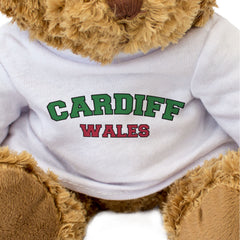 CARDIFF, WALES - Teddy Bear - Cute Cuddly Soft Adorable - Welsh Gift Present