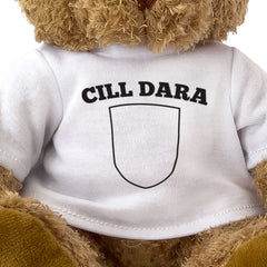 CILL DARA (KILDARE) COUNTY COLOURS - Teddy Bear - Ireland Gaeilge Gift Present