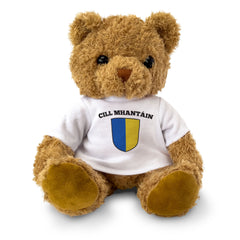 CILL MHANTÁIN (WICKLOW) COUNTY COLOURS - Teddy Bear - Ireland Gift Present