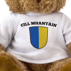 CILL MHANTÁIN (WICKLOW) COUNTY COLOURS - Teddy Bear - Ireland Gift Present