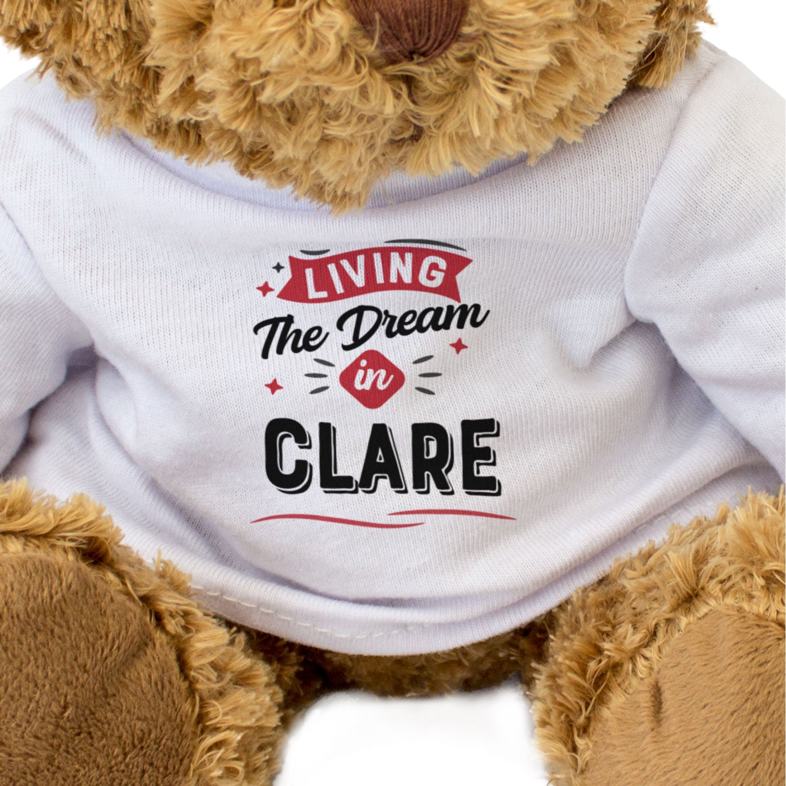 LIVING THE DREAM IN CLARE - Teddy Bear - Cute - Funny Ireland Gift Present