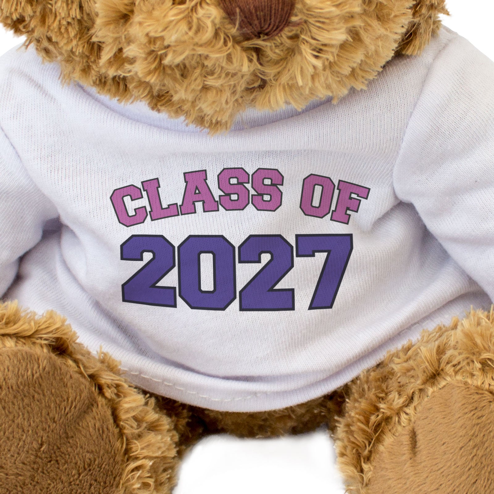 CLASS OF 2027 (PINK/PURPLE) - Teddy Bear - Cute Funny - Graduation Gift Present