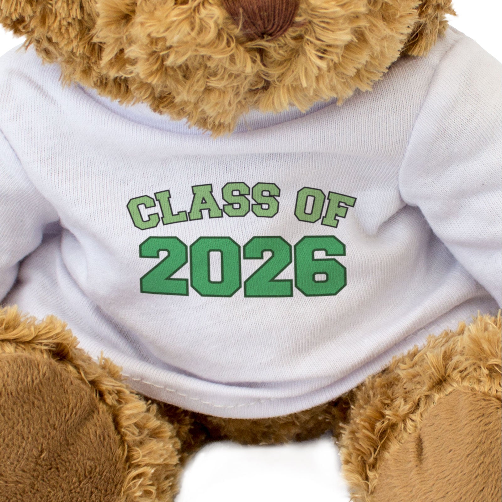 CLASS OF 2026 (GREEN) - Teddy Bear - Cute Cuddly - Graduation Gift Present