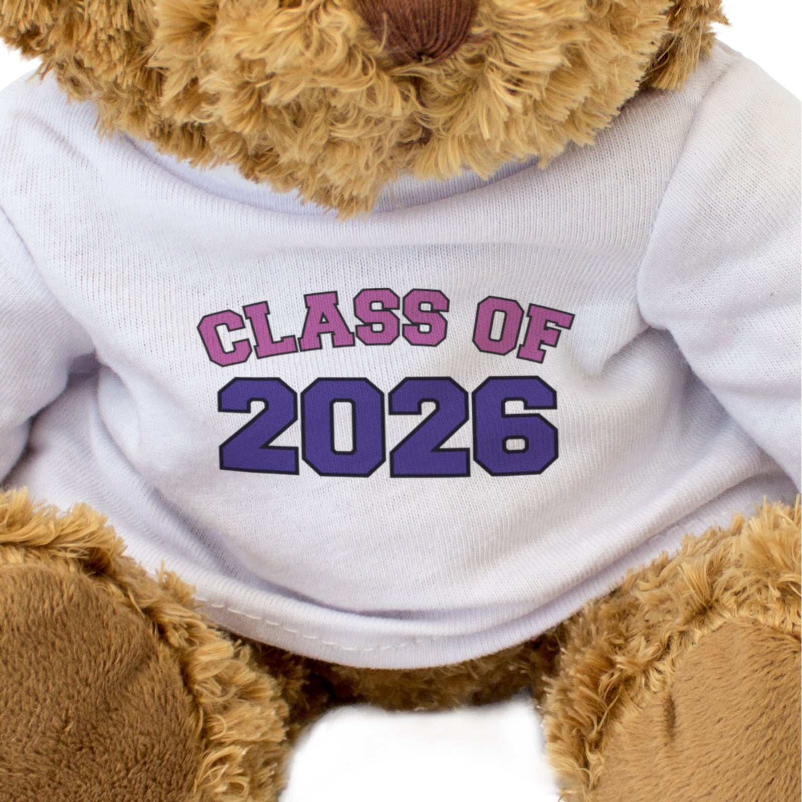 CLASS OF 2026 (PINK/PURPLE) - Teddy Bear - Cute Cuddly - Graduation Gift Present