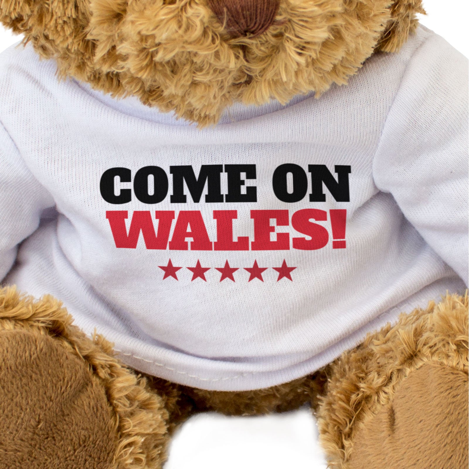 COME ON WALES! - Teddy Bear - Cute Cuddly - Welsh Cymru Sports Fan Gift Present