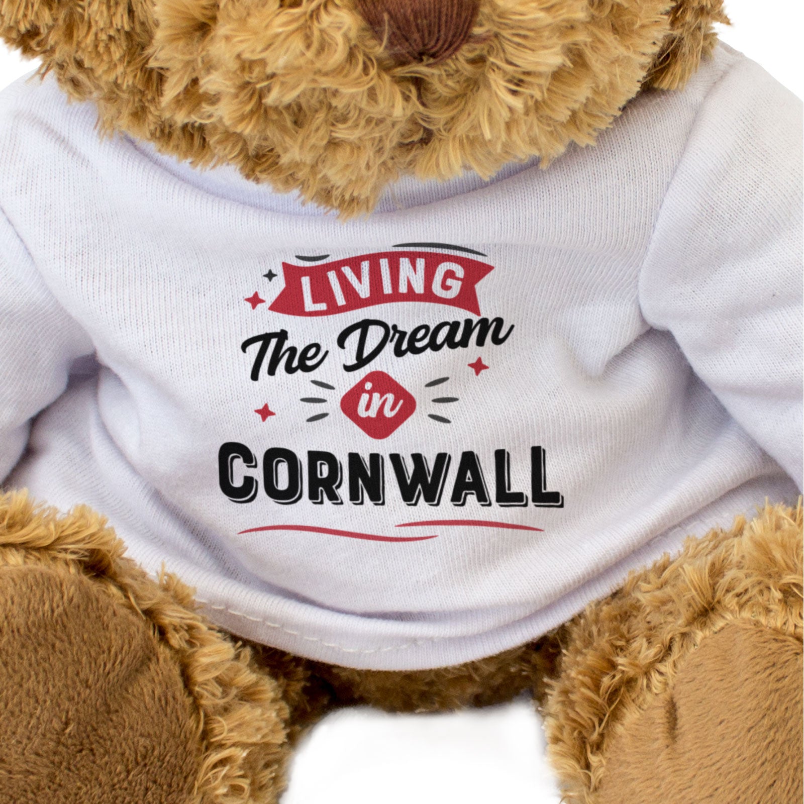 LIVING THE DREAM IN CORNWALL - Teddy Bear - Cute - Funny Cornish Gift Present