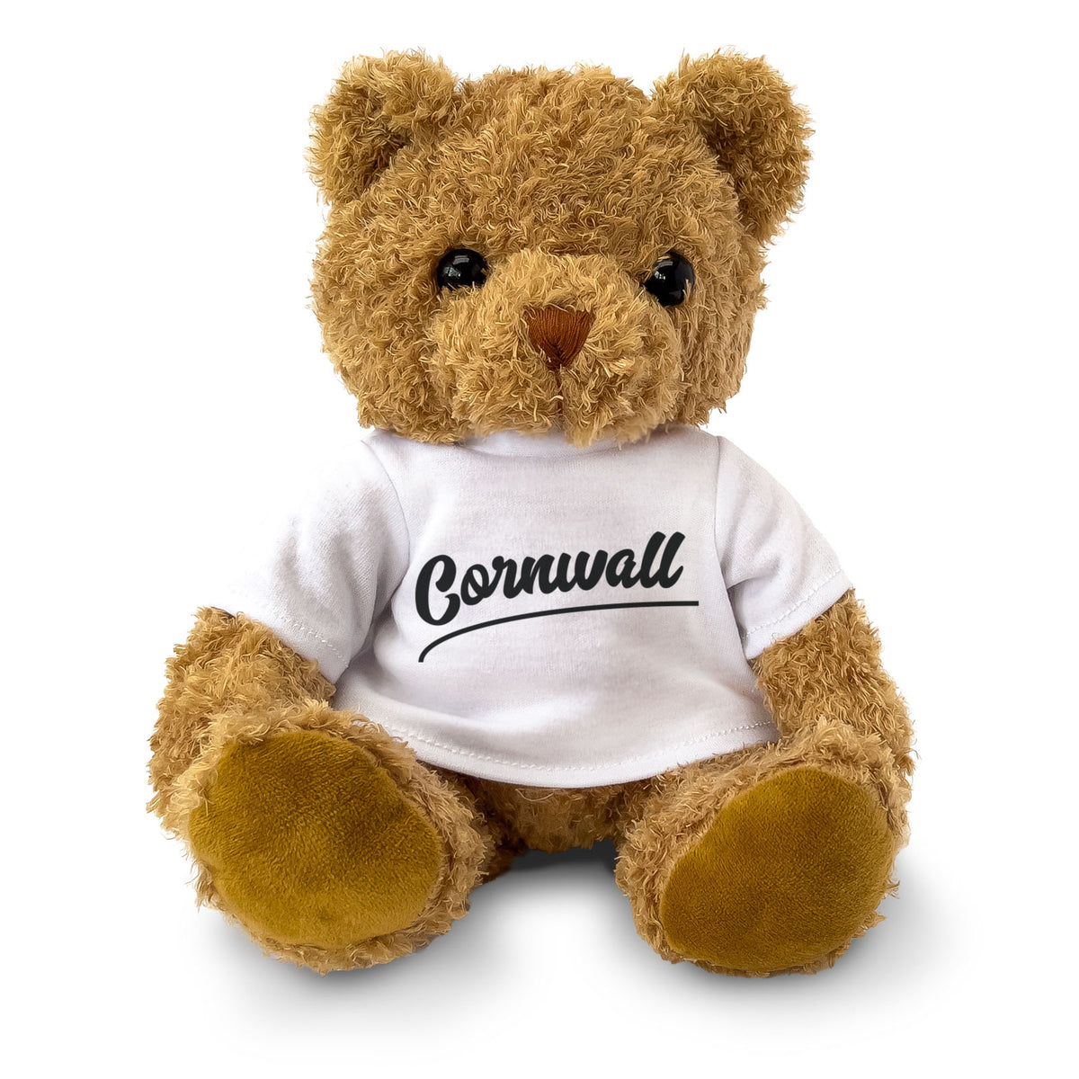 CORNWALL (SCRIPT) - Teddy Bear - Cute Cuddly Soft Funny - Cornish Gift Present