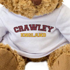CRAWLEY, ENGLAND - Teddy Bear - Cute Cuddly Soft - Funny Sussex Gift Present
